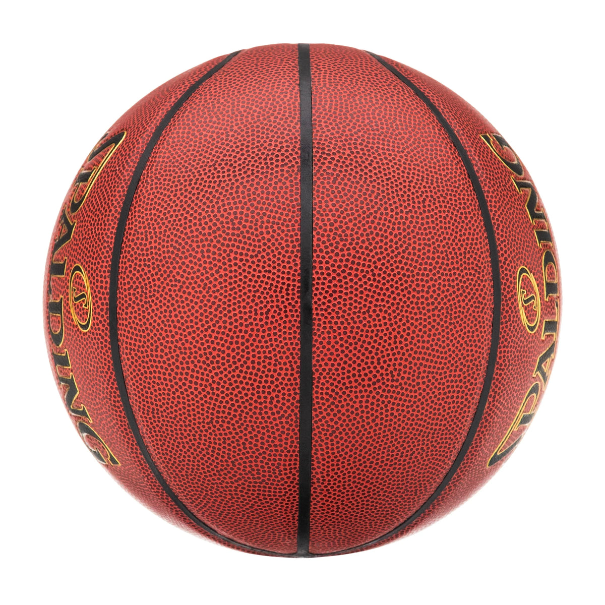 Indoor and Outdoor Basketballs 29.5 In. T281009
