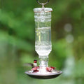 Clear Glass Hummingbird Feeder K777