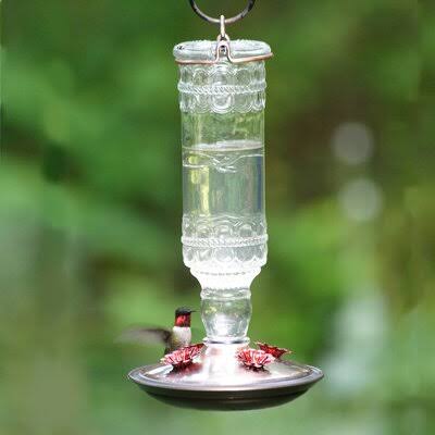 Clear Glass Hummingbird Feeder K777