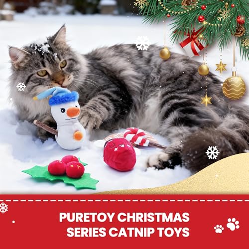 5 PCS Catnip Cat Chew Toys with Silvervine Sticks F726
