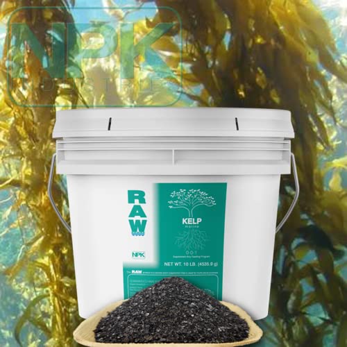 2 oz RAW Kelp R317883