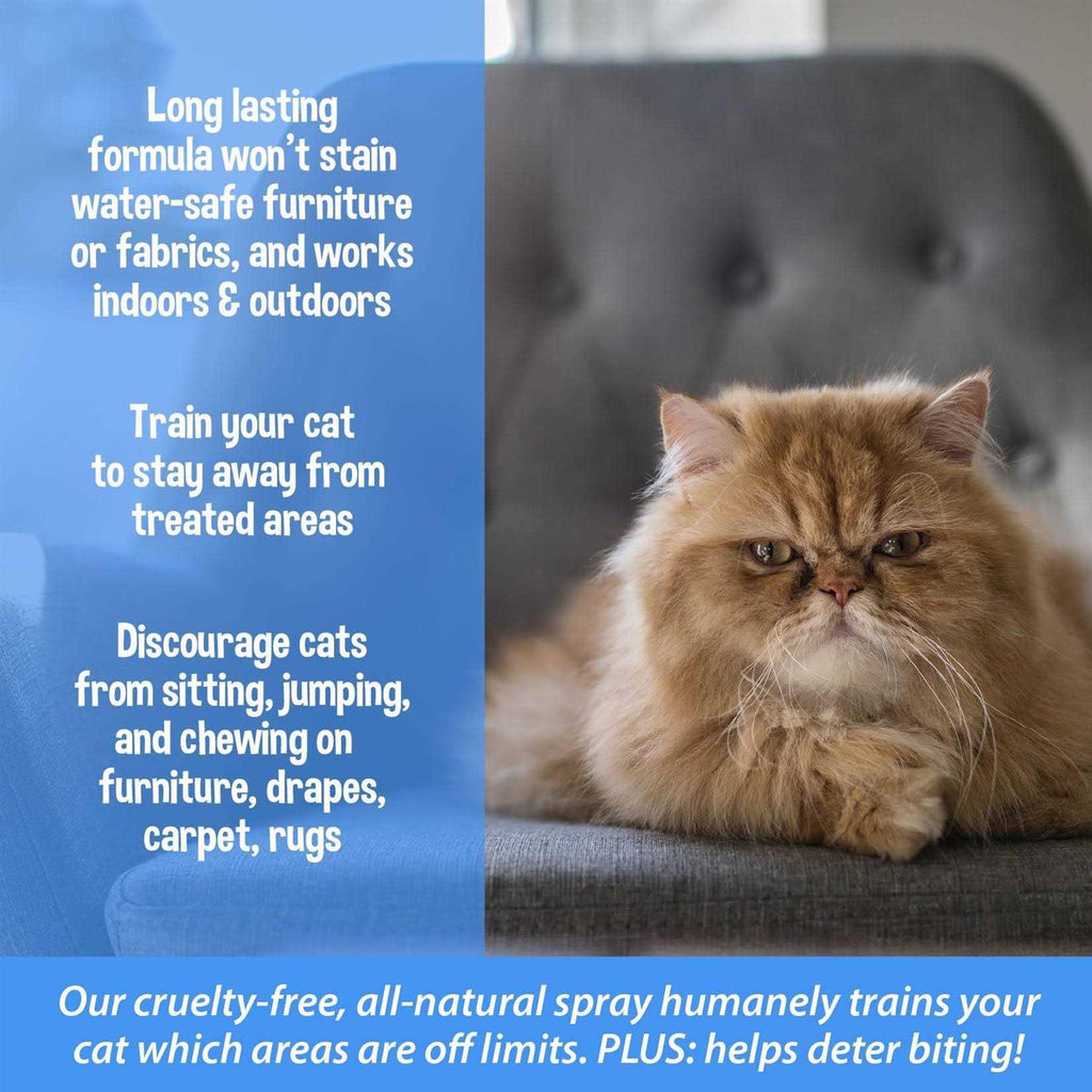 Cat Training Aid Spray V2443