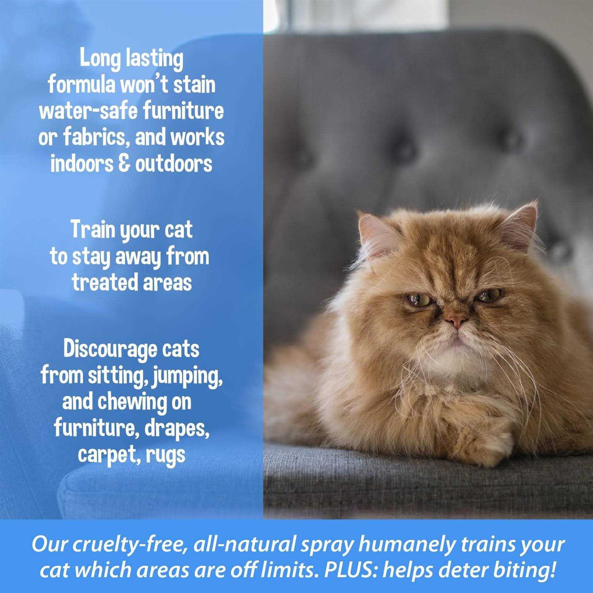 Cat Training Aid Spray V2443