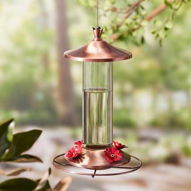 Hummingbird ElectroNectar B360287
