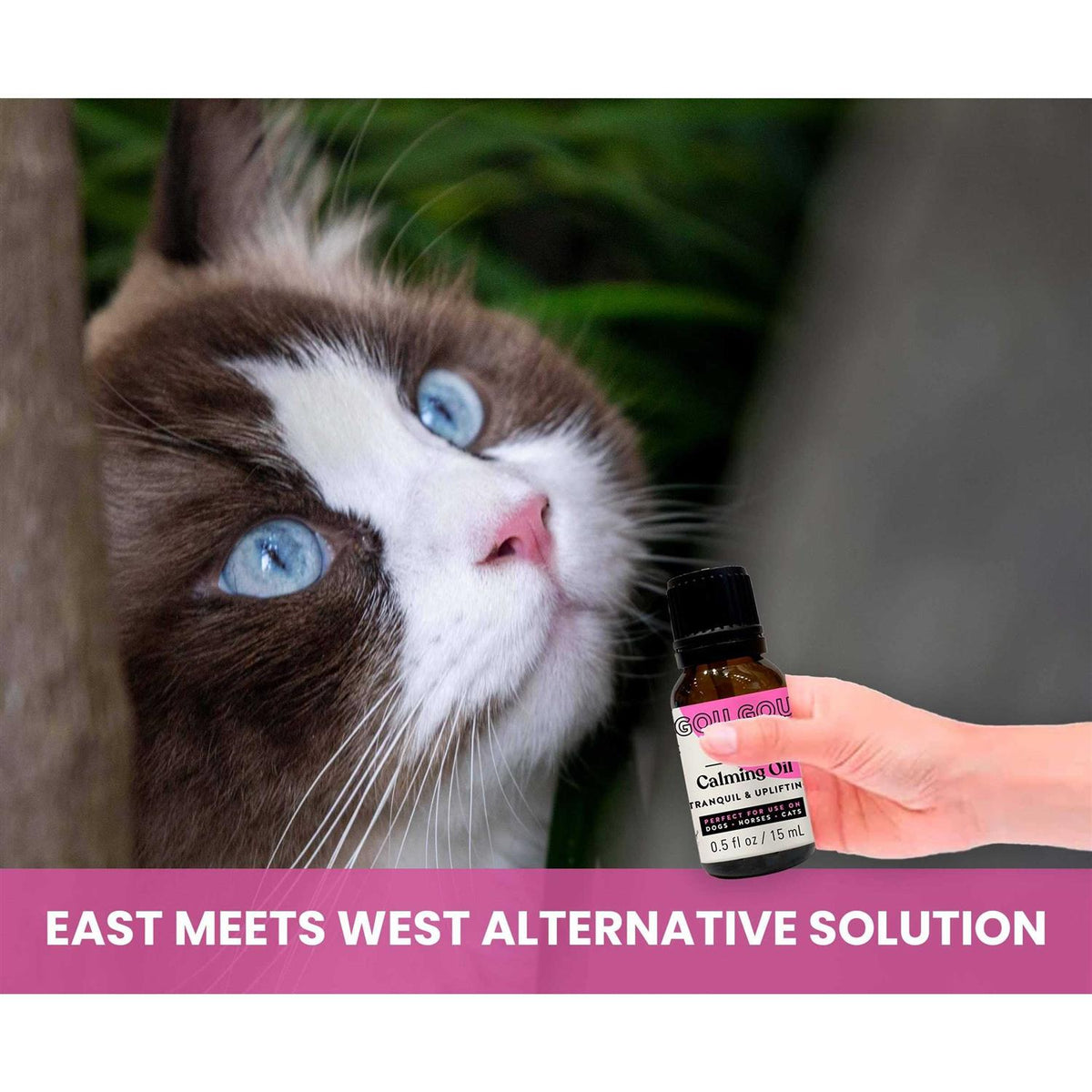 Natural Calming Pet Essential Oil Blend F200018