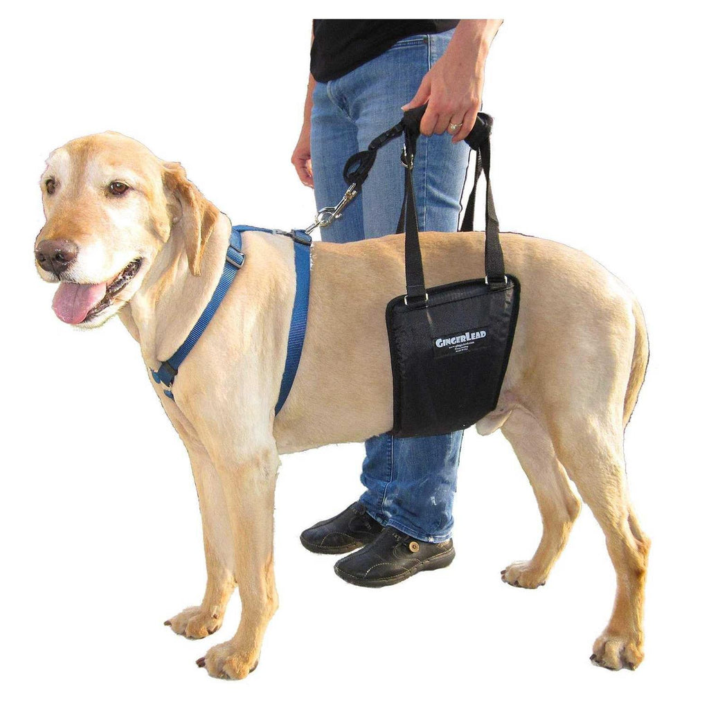 Dog Support Rehabilitation Harness R394891