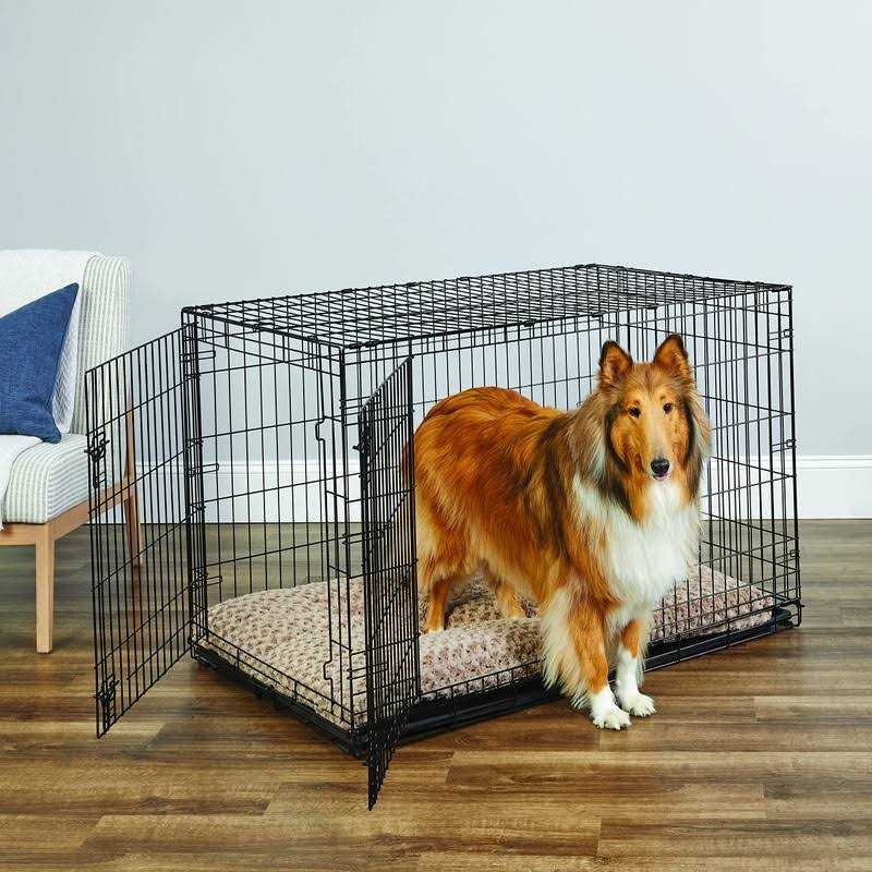 Single Door Dog Crate S996896