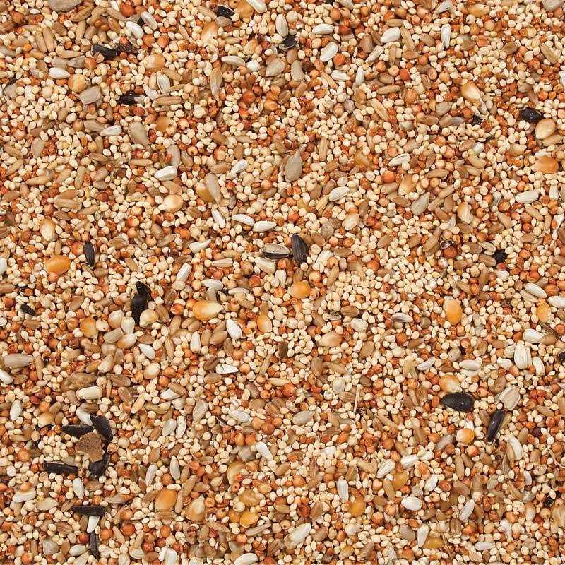 Dove Quail Food J55753