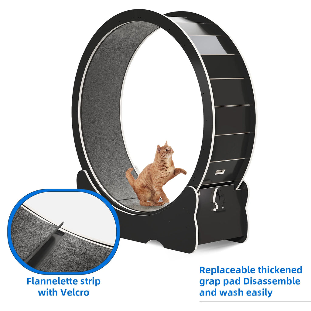 43.3 inch Cat Exercise Wheel with Detachable Carpet G22568