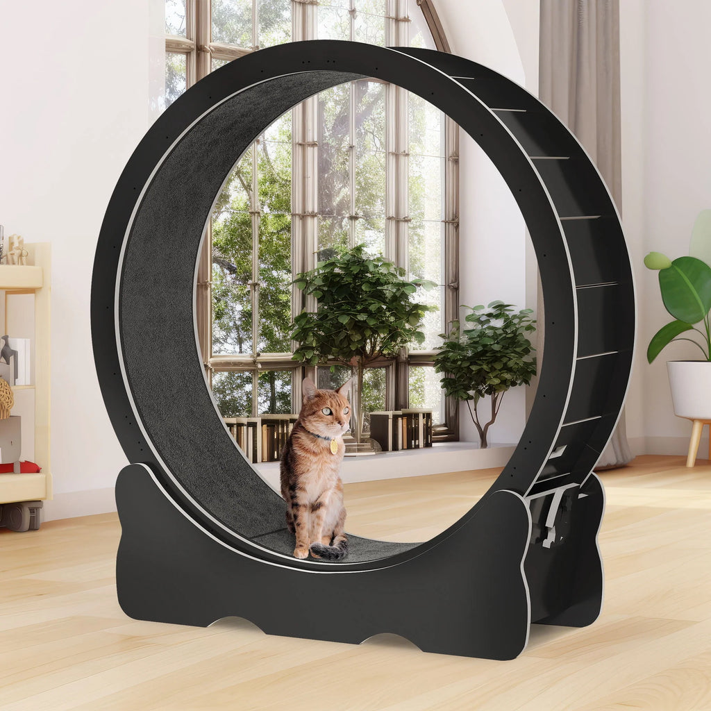 43.3 inch Cat Exercise Wheel with Detachable Carpet G22568