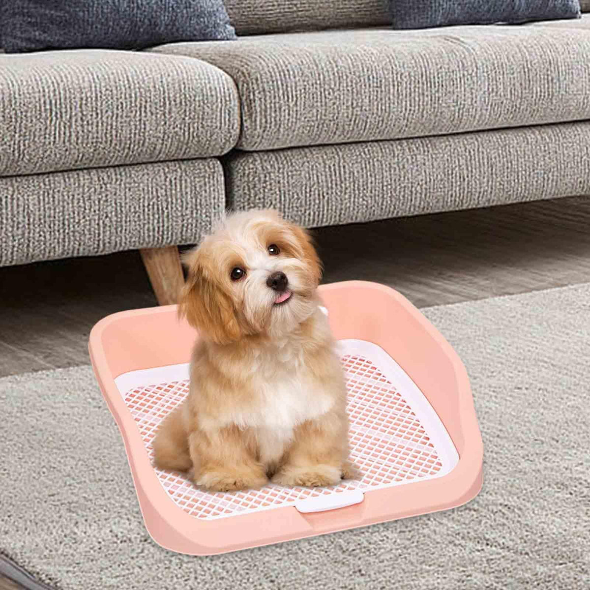 Pet Toilet Training Holder with Dog Potty Pad Z573