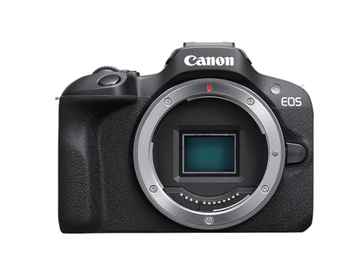 Mirrorless Camera with 24.1 Megapixel CMOS Sensor, 4K Video, Black N962954
