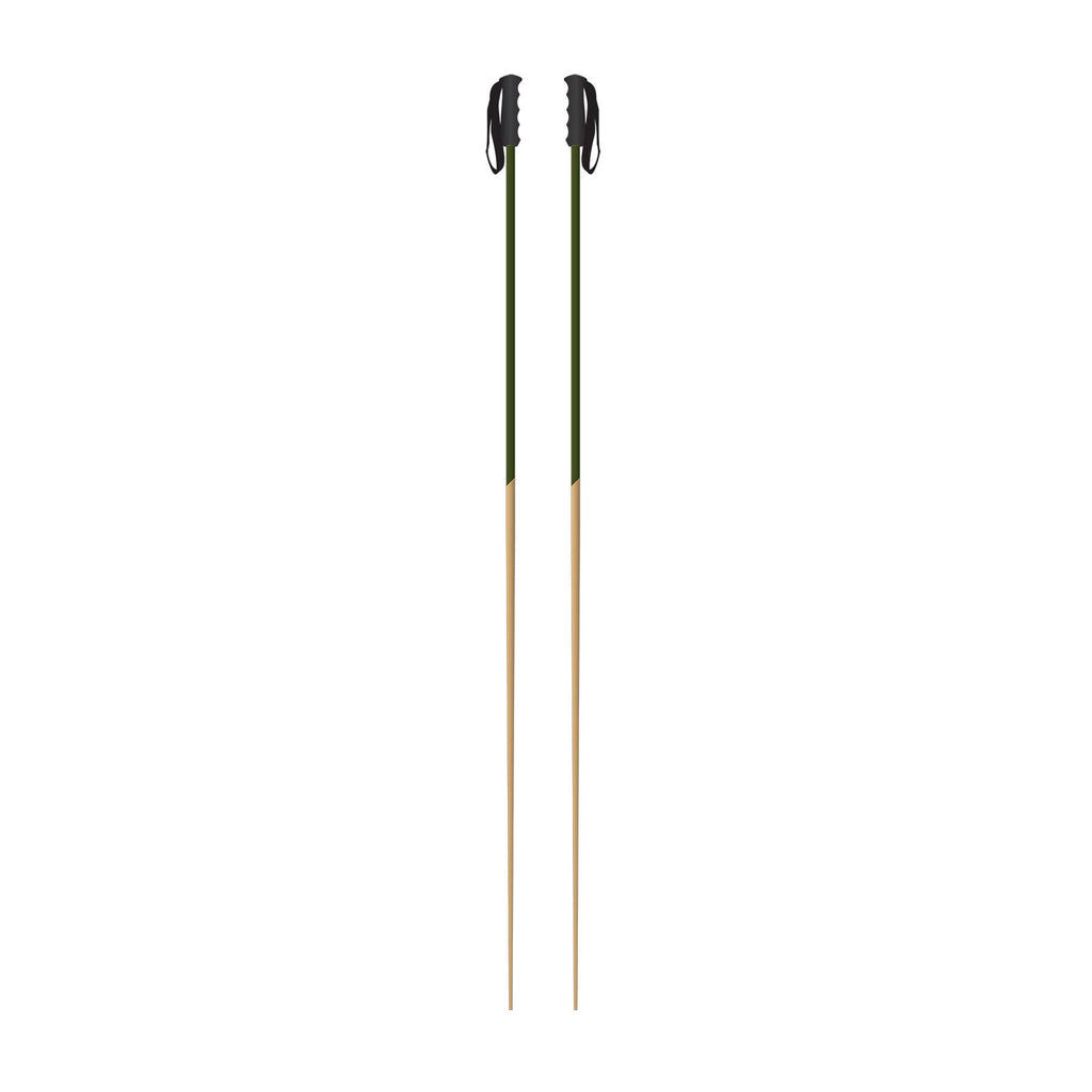 Green Ski Pole S43132