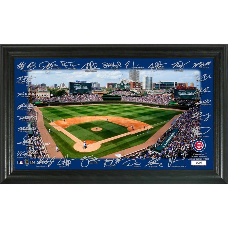 Framed Photo T25665