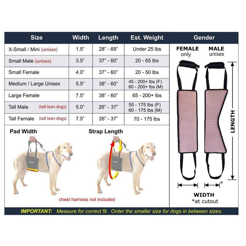 Dog Support Rehabilitation Harness R394891