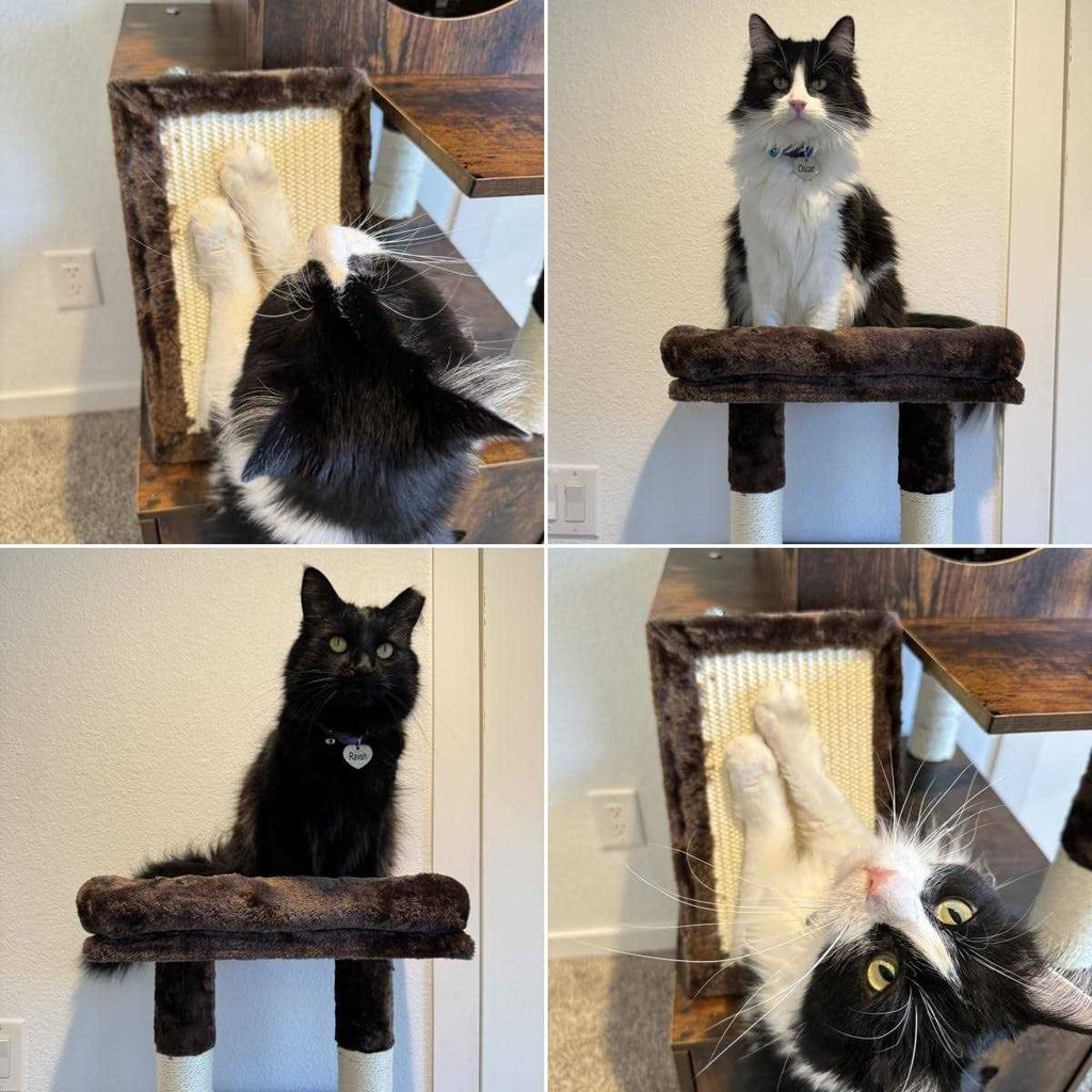 Modern Cat Tree with Litter Box Enclosure Z6757