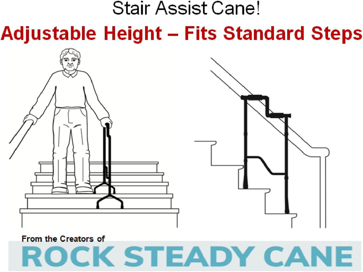 Stair Climbing Assist Cane B616266