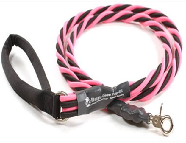 Pink and Black 6 ft. Leash Q3537