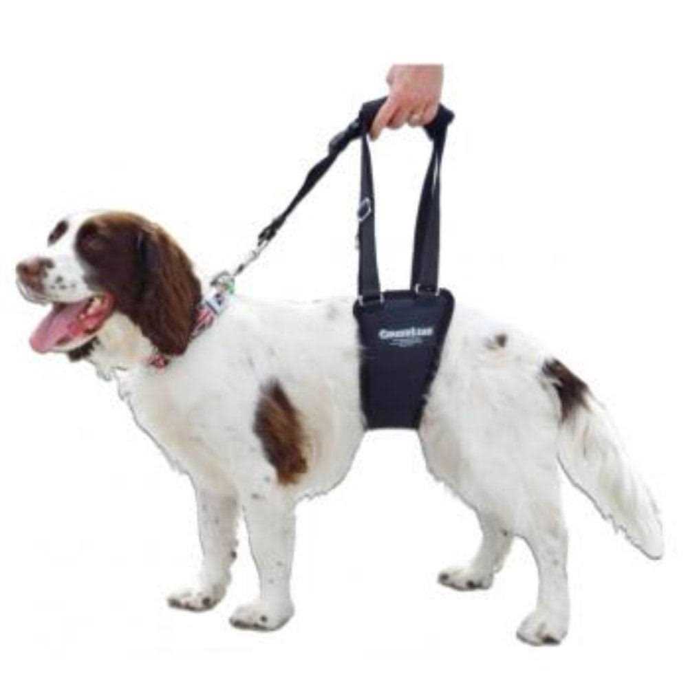 Dog Support Rehabilitation Harness R394891