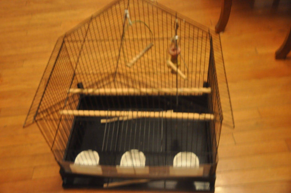 Black Bird Cage Y656075