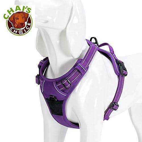 Reflective Dog Harness and Leash M62269