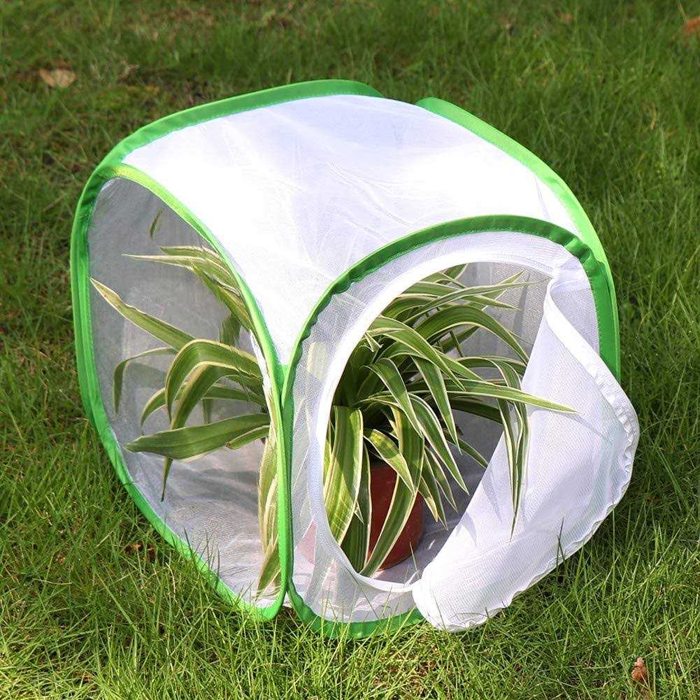Pop-up Insect and Butterfly Habitat Cage Terrarium Q11521