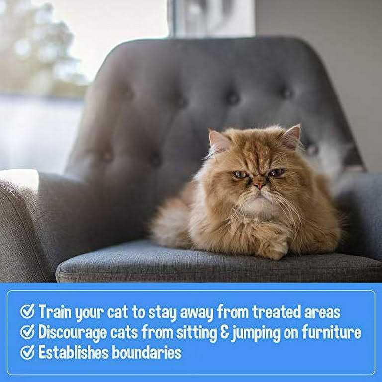 Cat Training Aid Spray V2443