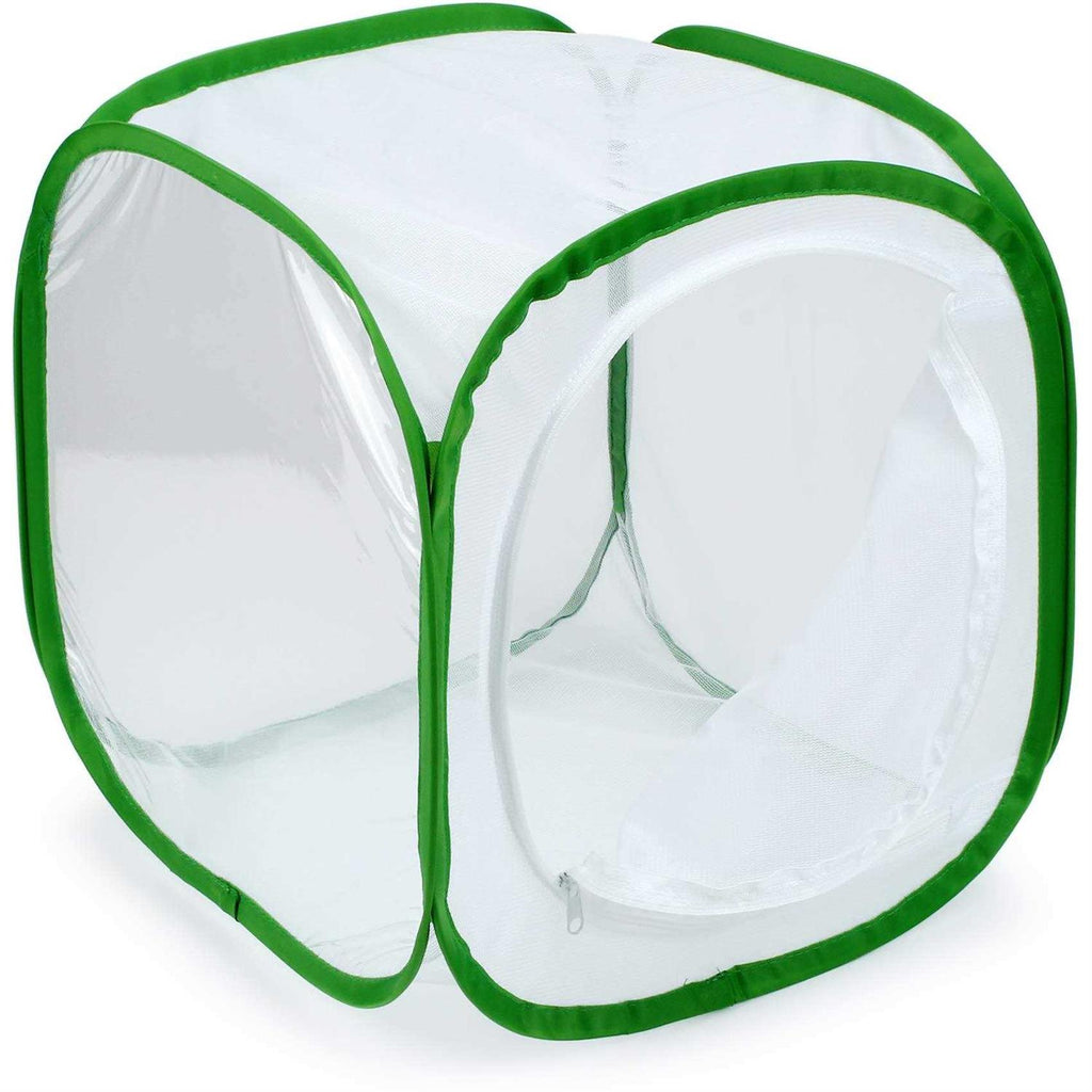 Pop-up Insect and Butterfly Habitat Cage Terrarium Q11521