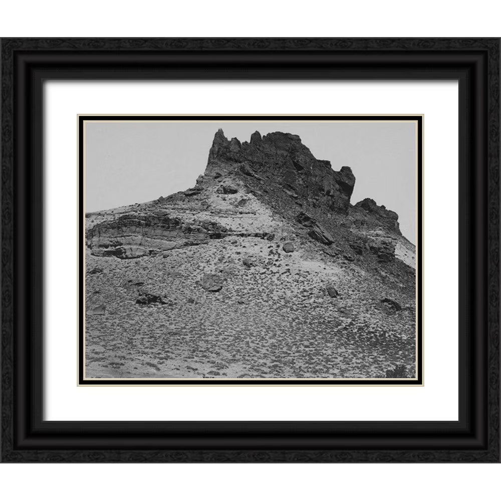 24x19 Black Ornate Wood Framed Double Matting Art Print P175