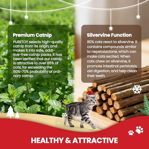5 PCS Catnip Cat Chew Toys with Silvervine Sticks F726