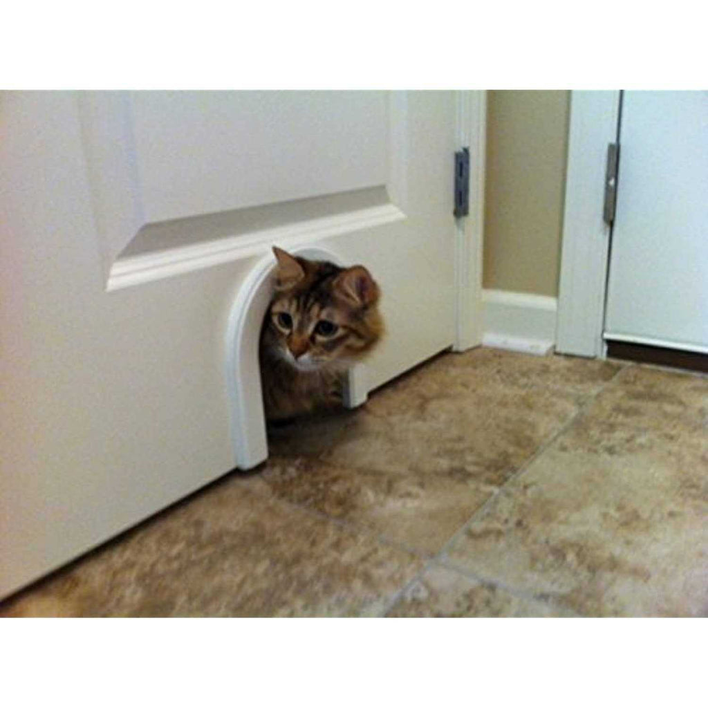 Cat Door with Brush Z394970