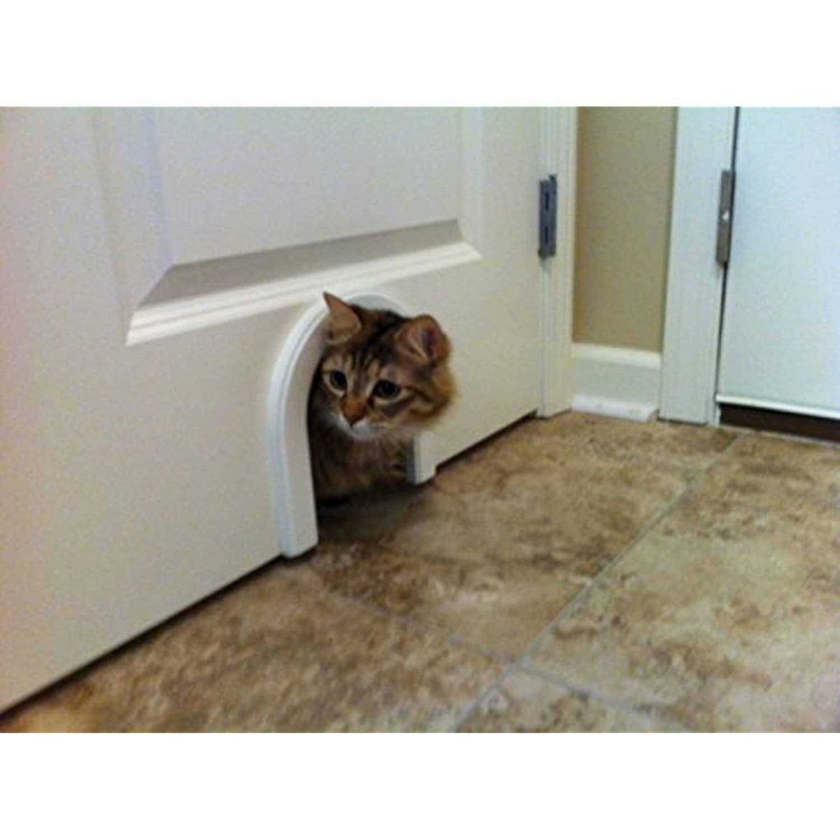 Cat Door with Brush Z394970