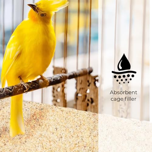 Coarse Silica Sand - 10LB - Horticultural Sand L1845