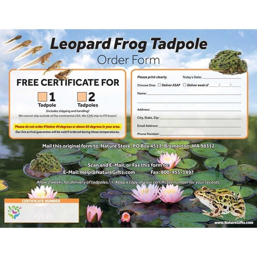 1-Gallon Frog Growing Kit L5767