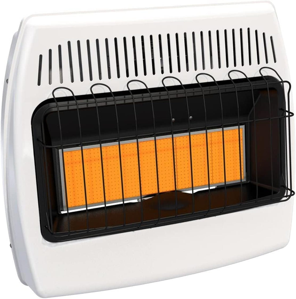 30,000 BTU Dual Fuel Natural Gas Propane Wall Heater P7390