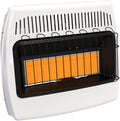 30,000 BTU Dual Fuel Natural Gas Propane Wall Heater P7390