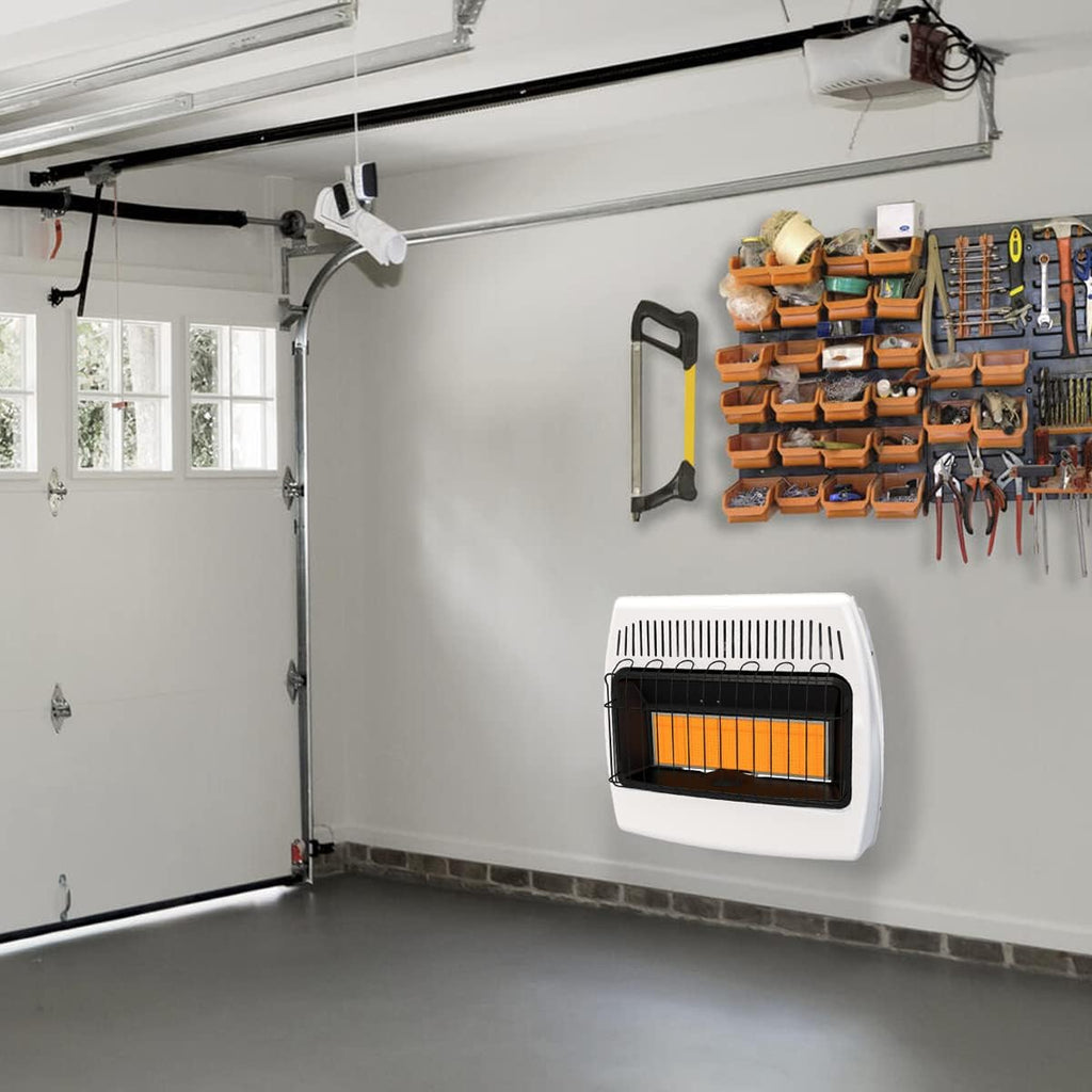 30,000 BTU Dual Fuel Natural Gas Propane Wall Heater P7390