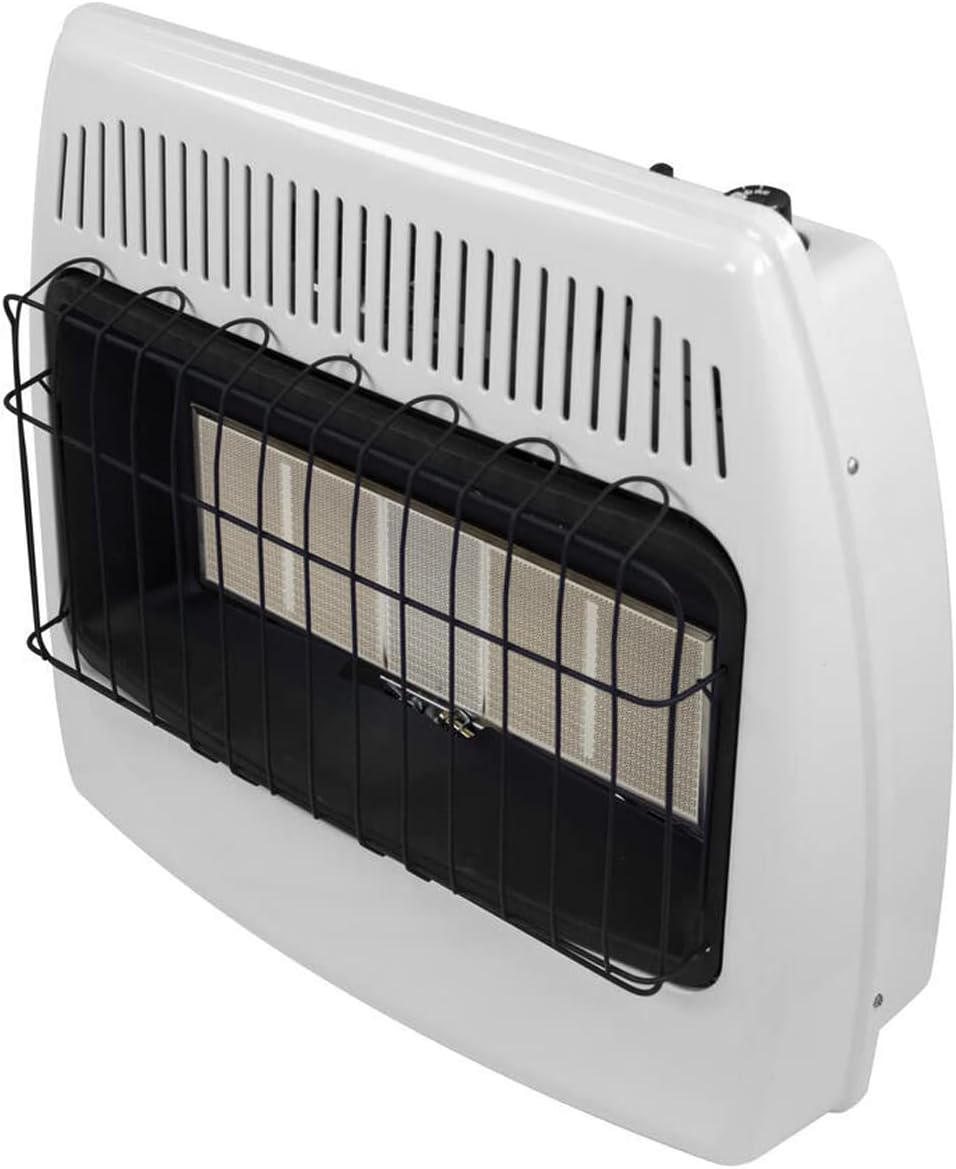 30,000 BTU Dual Fuel Natural Gas Propane Wall Heater P7390