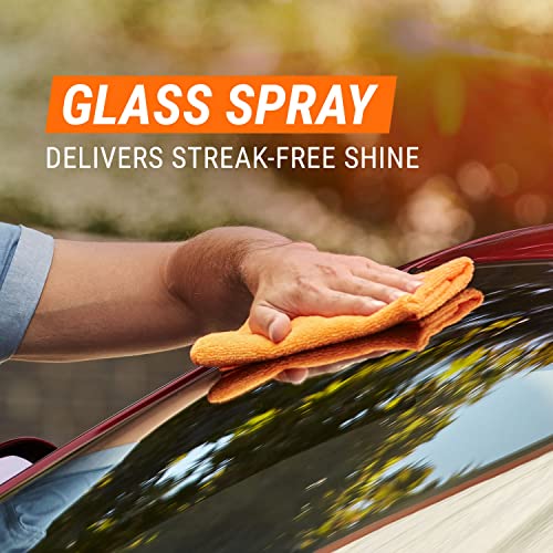 Car Wash and Interior Cleaner Kit, 5 Count F6121