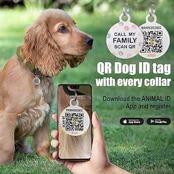 Rolled Leather Dog Collar with QR ID Dog Tag H326