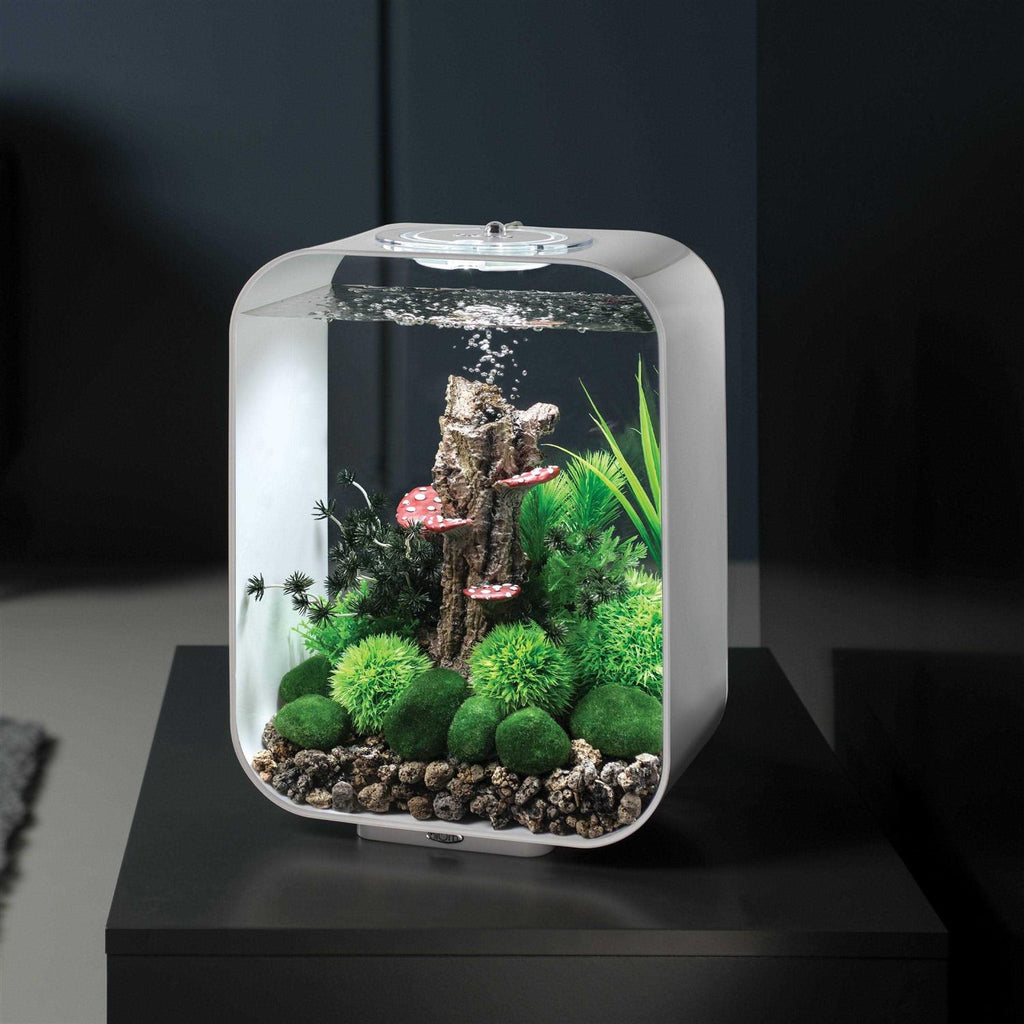 15 Aquarium with MCR Light J50249