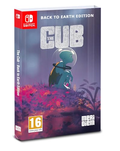 Nintendo Switch J497