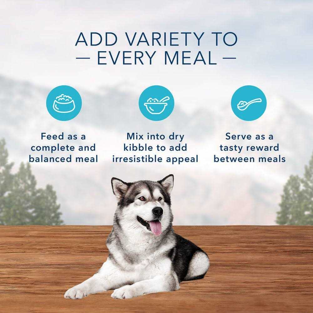 Dog Food I989205