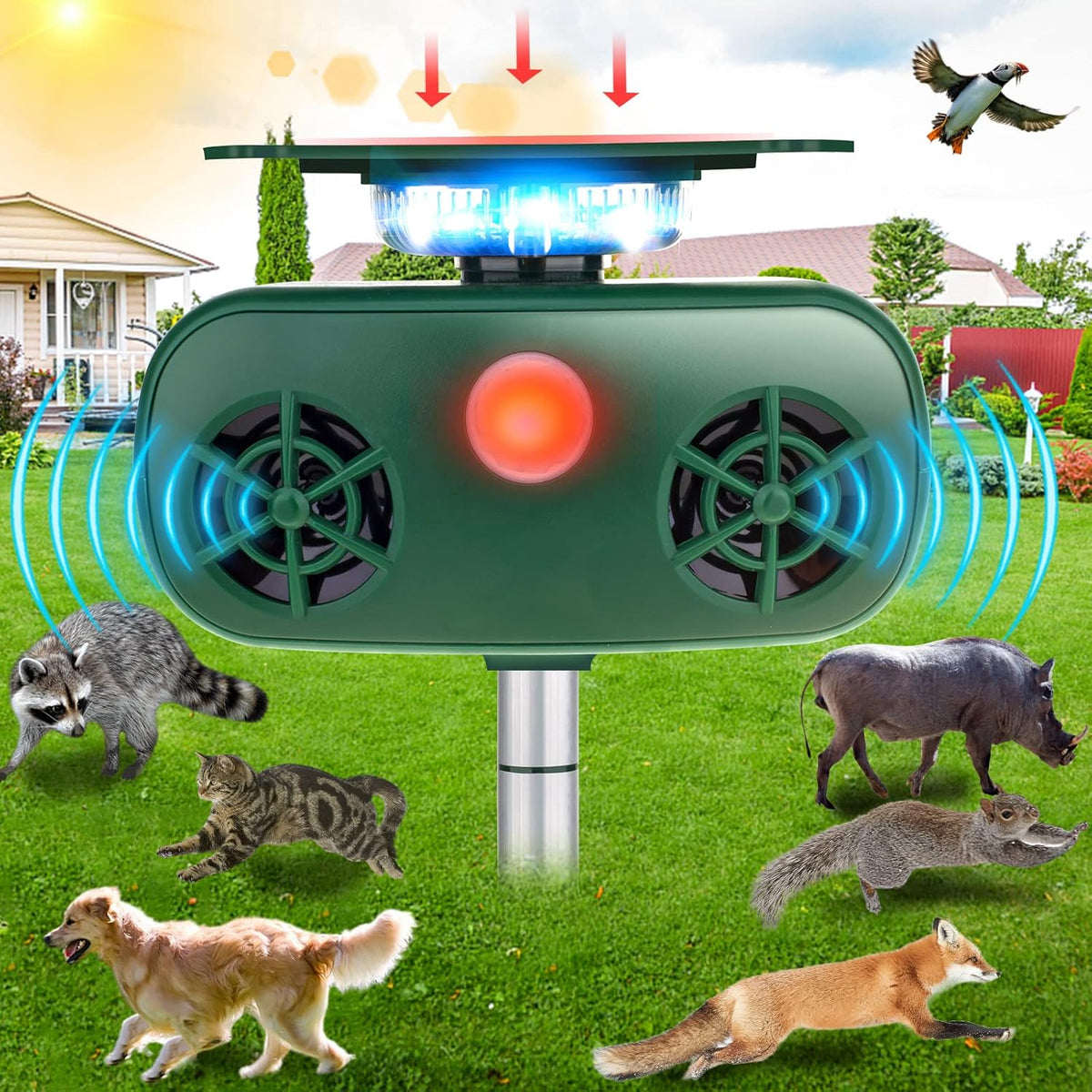 Ultrasonic Solar Powered Animal Repellent with Motion Sensor C2885