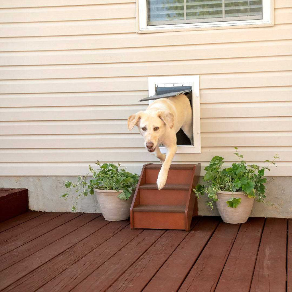 Wall Entry Pet Door G4862