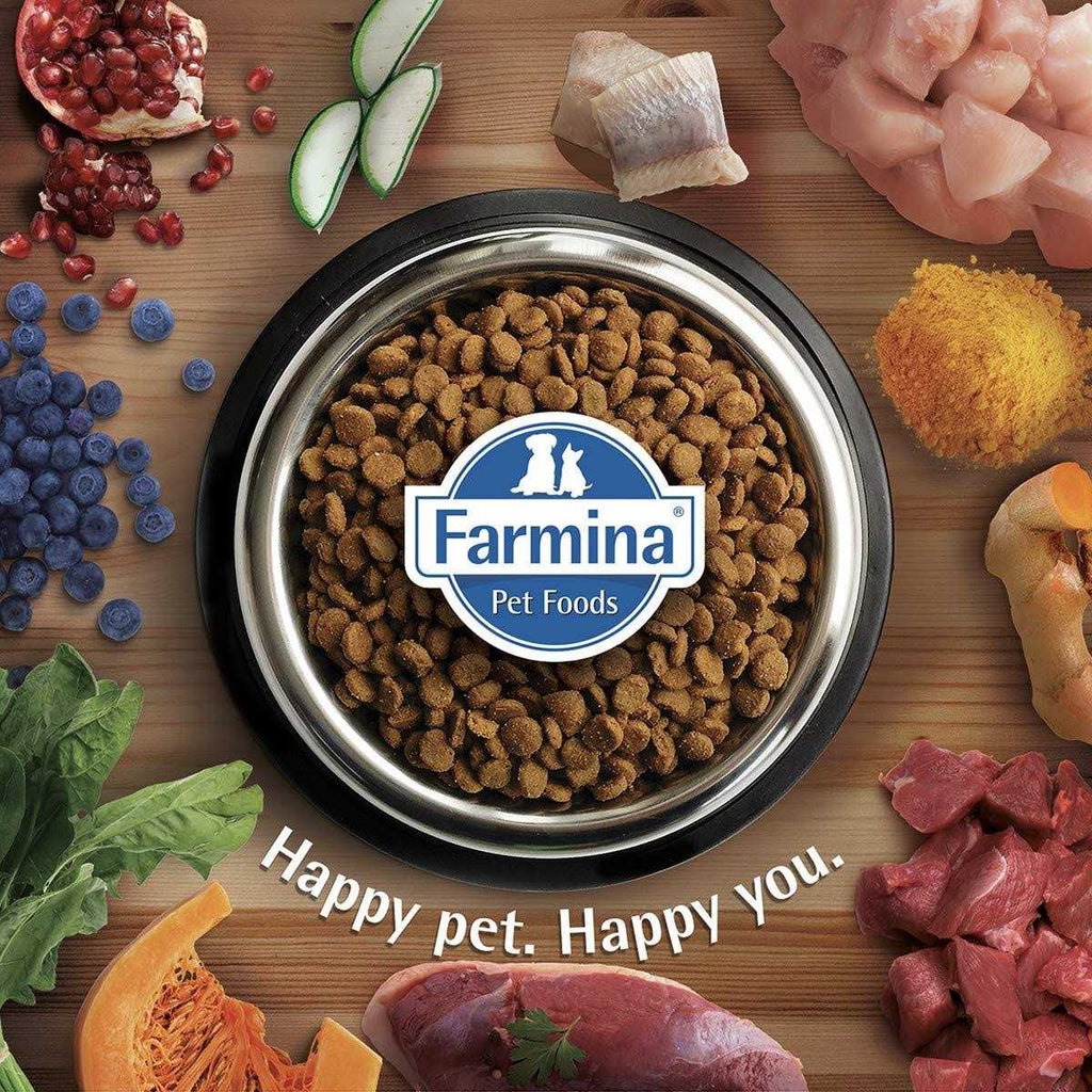 Chicken & Pomegranate Dry Dog Food M9197