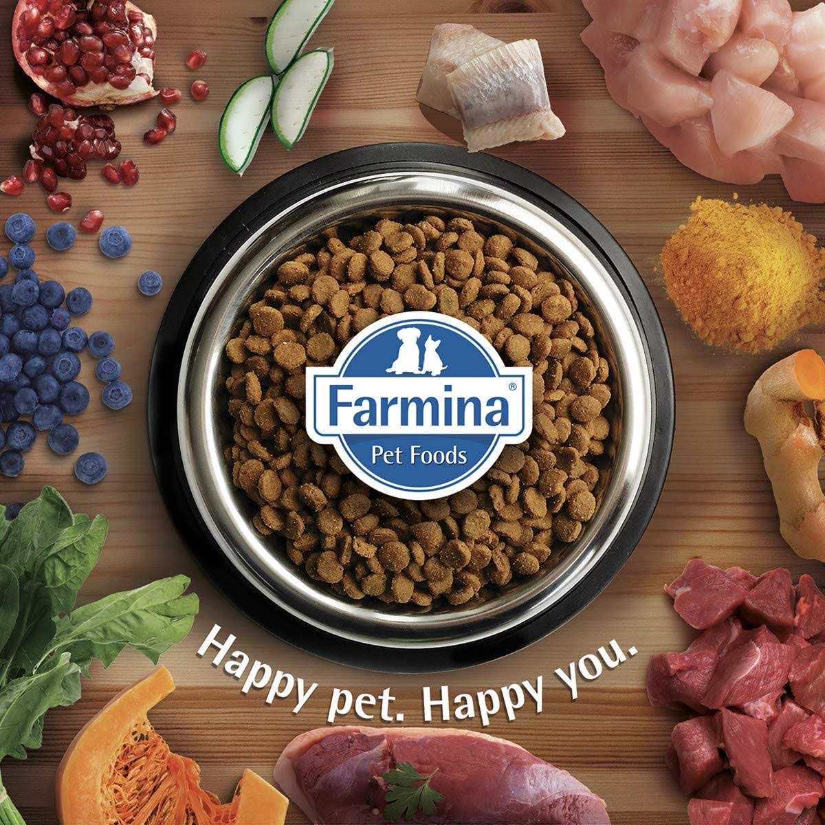 Chicken & Pomegranate Dry Dog Food M9197