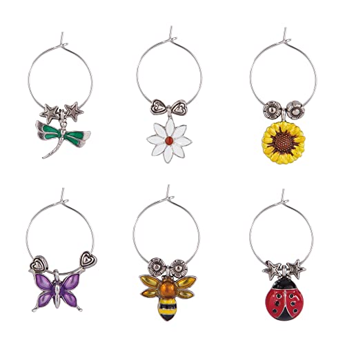Multicolor Set of 6 Wine Charms F537510