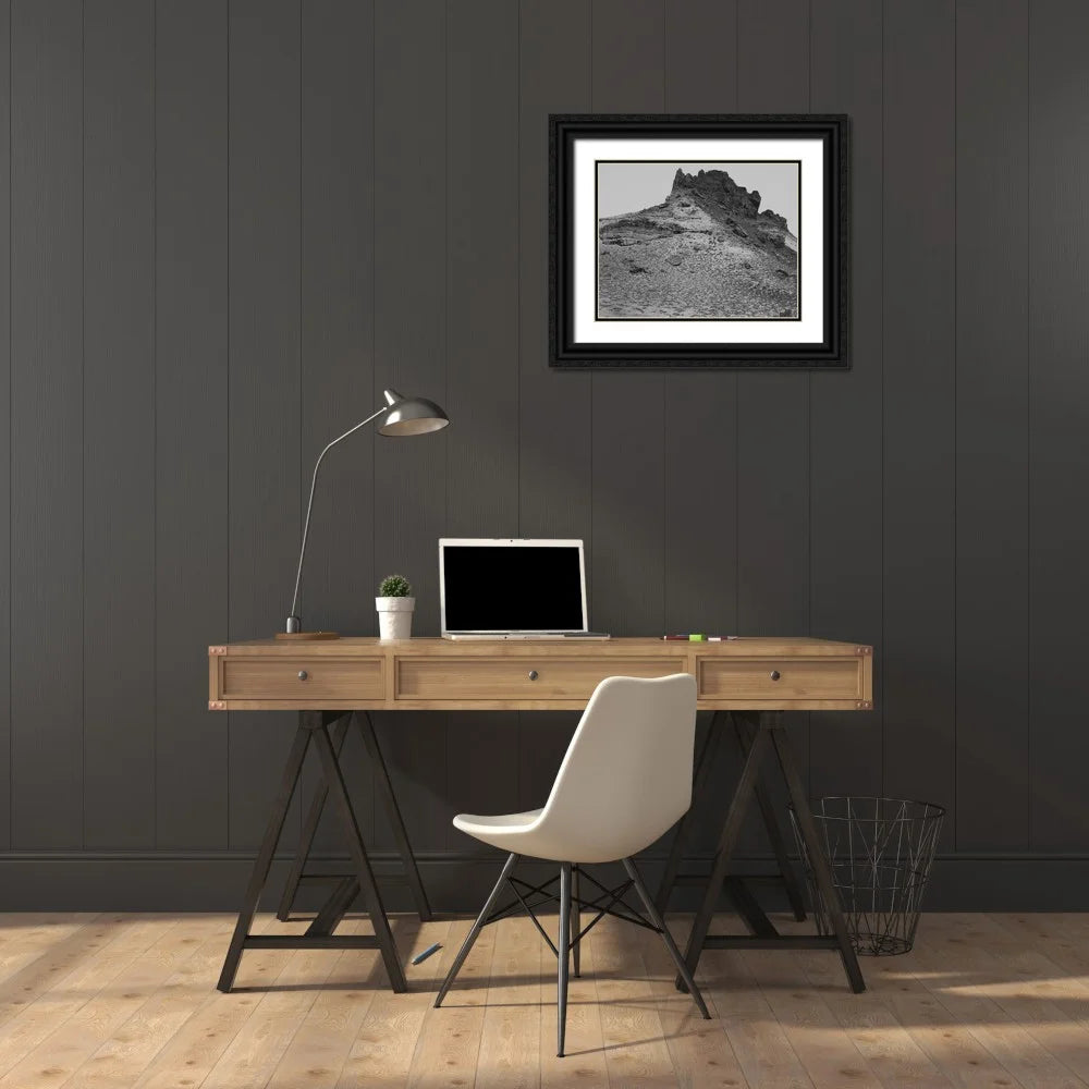 24x19 Black Ornate Wood Framed Double Matting Art Print P175