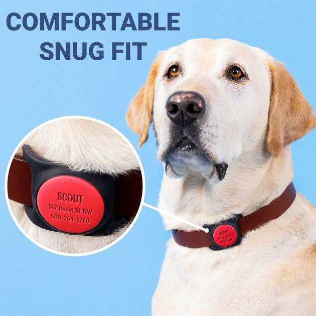 Engraved Dog & Cat Collar Holder L52050